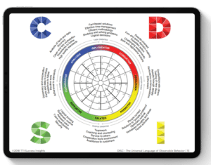 DiSC Profile